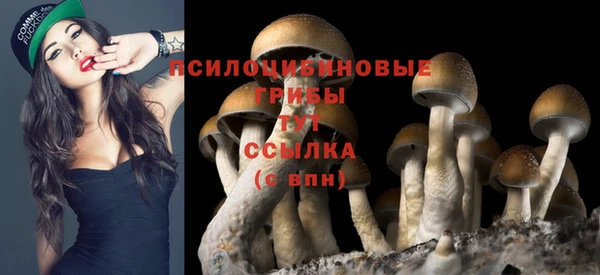 прущая мука Нягань