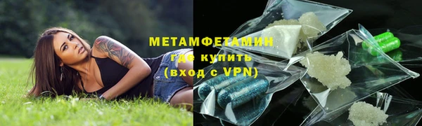 молекула духа Вяземский