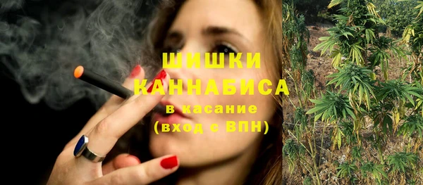 apvp Няндома