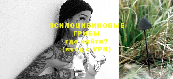 apvp Няндома