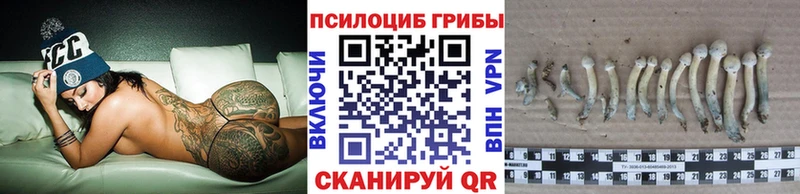 наркотики  Новосиль  Псилоцибиновые грибы мухоморы 