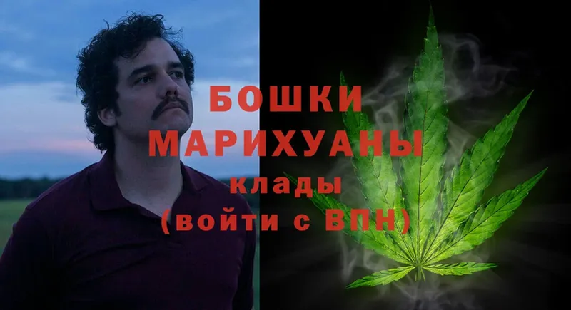 ссылка на мегу ТОР  мориарти телеграм  Марихуана Ganja  Новосиль 